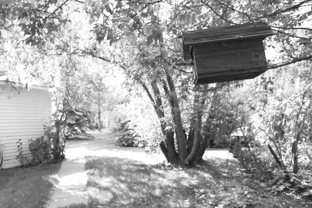 Sproule Heritage Bed & Breakfast Strathmore Buitenkant foto
